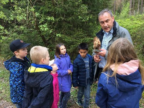 Förster Christoph Lauerer hatte das ausgestopfte Eichhörnchen Egon, das vor 30 Jahren von einem Auto überfahren wurde im Wald versteckt. Er erklärte den Kindern, dass Eichhörnchen ungewollt Helfer für den Förster sind. Sie sammeln Eichen, verstecken diese, vergessen aber oft die Verstecke und sorgen so für das Nachwachsen junger Bäume. - Foto von Werner Schulz