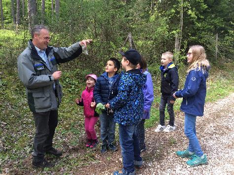 In der „Frühmeß“ jede Menge Wissenswertes über den Wald erfahren