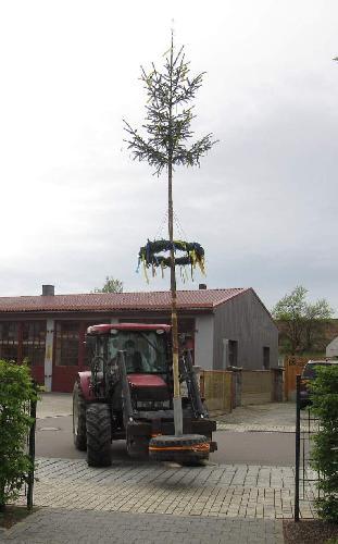 Corona zum Trotz – Evergreen-Senioren feiern Maifest