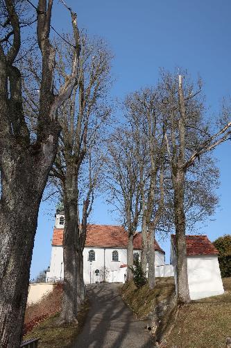 Baumpflege am Friedhof