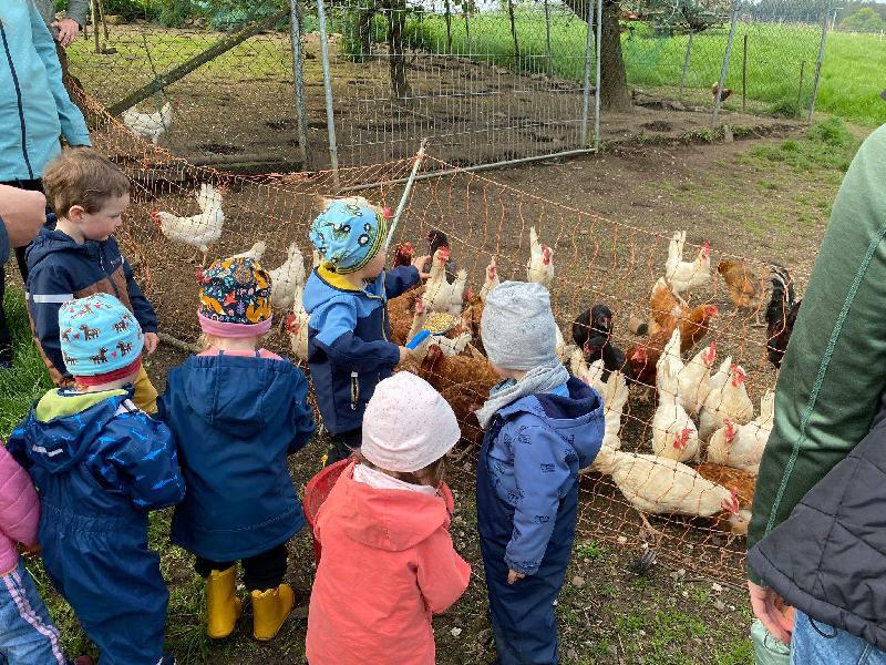 Krabbelgruppe zu Besuch auf dem Bauernhof