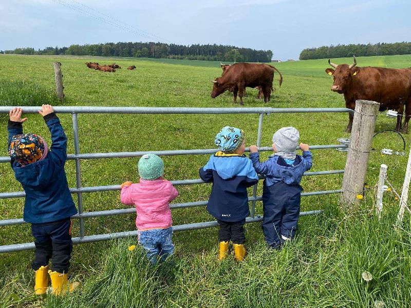 Krabbelgruppe zu Besuch auf dem Bauernhof