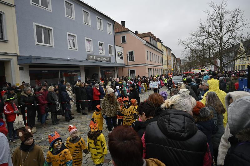 Hirschau fest in Kinder-Narrenhand