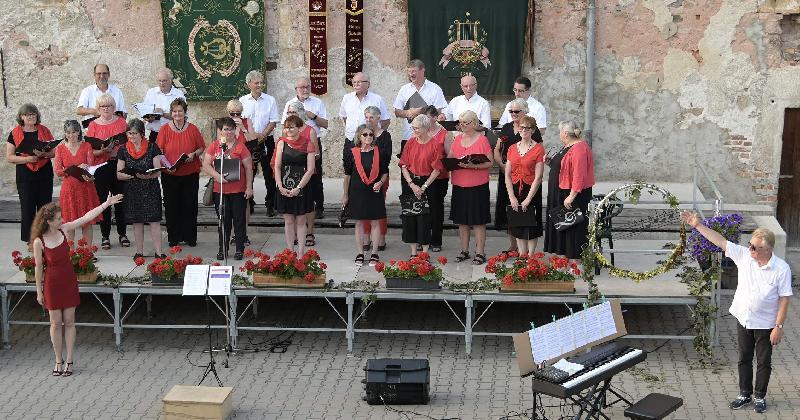 Zum einem musikalischen Leckerbissen – einer Mittsommer Serenade – lädt der Gemischte Chor am Sonntag, 14. Juli, in den Schlosshof ein. - Foto von Werner Schulz