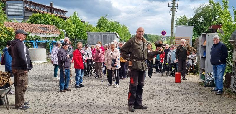 Aufmerksam verfolgten die Seniorinnen und Senioren die Flugvorführung von Hans Weiß (vorne) mit dem Wespenbussard „Lisl“. Nicht ängstliche Teilnehmer wagten es, den Uhu Klaus zu streicheln. - Foto von Rudi Wild