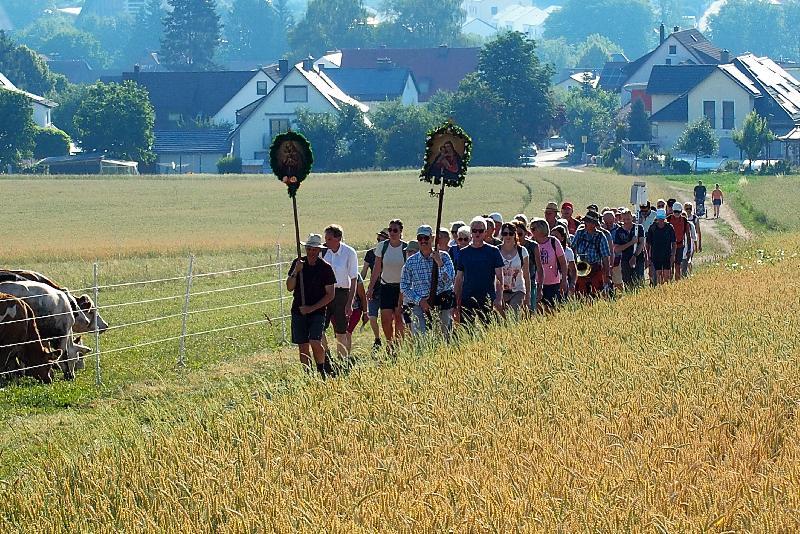 Gläubige der Pfarreiengemeinschaft Hirschau-Ehenfeld pilgern zum Mariahilfberg.