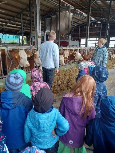 Kindergartenkinder erkunden Bauernhof